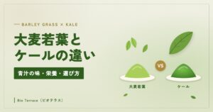 大麦若葉とケールの粉末を並べて比べるイラスト（大麦若葉とケールの違い）