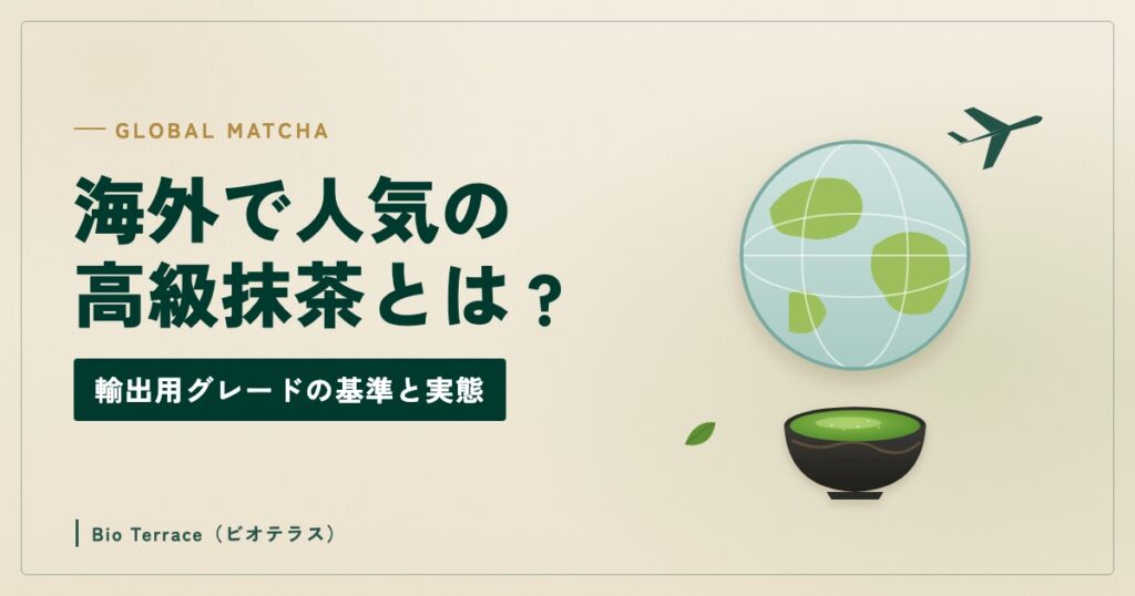 海外で人気の高級抹茶とは（地球と飛行機、抹茶の茶碗のイラスト）