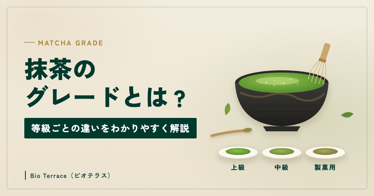 抹茶のグレードとは？等級ごとの違いをわかりやすく解説（抹茶を点てた茶碗と、上級・中級・製菓用の抹茶の色の違い）