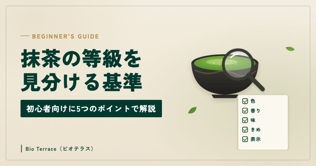 抹茶の等級を見分ける基準（抹茶の茶碗と虫めがね、色・香り・味・きめ・表示のチェックリスト）