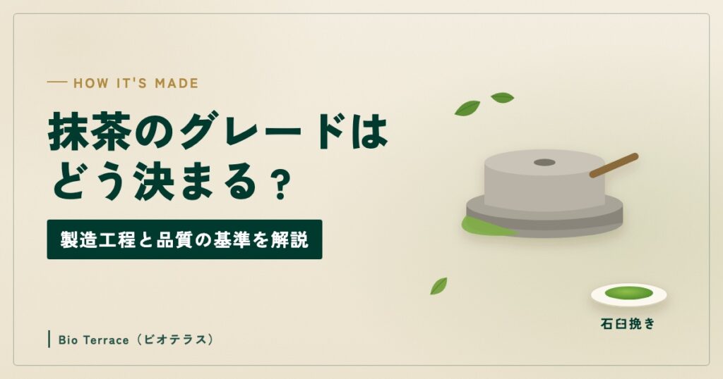 抹茶のグレードはどう決まる（石臼と茶葉、石臼挽きの抹茶のイラスト）