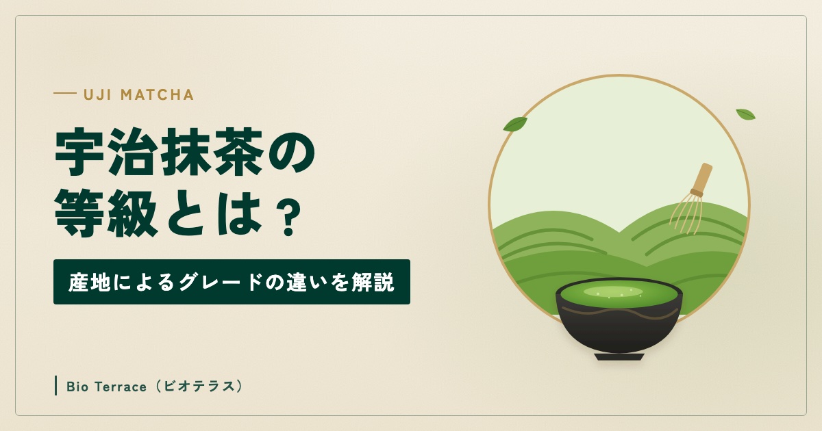 宇治抹茶の等級とは（茶畑と抹茶の茶碗のイラスト）