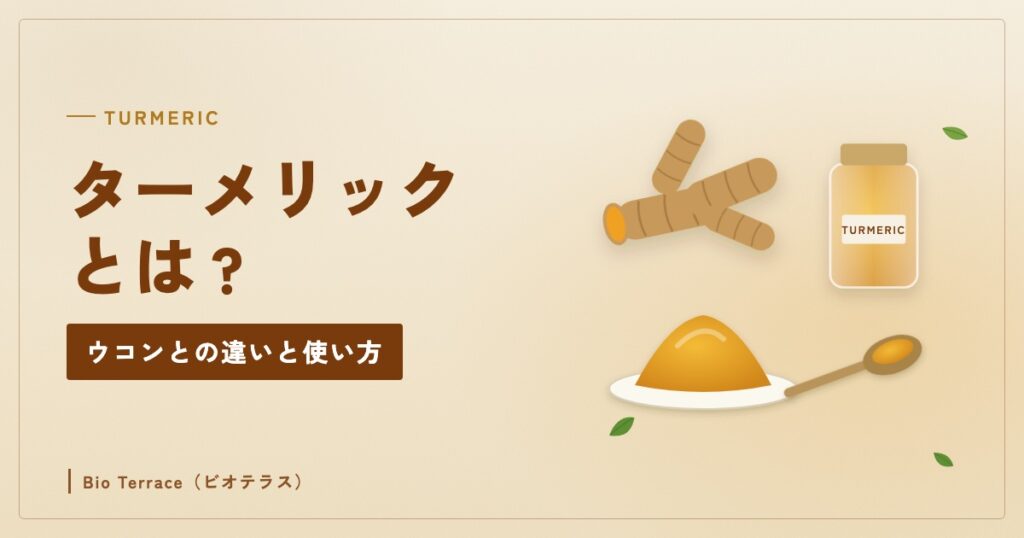 ターメリックの根茎と黄色いパウダー、スパイスびんのイラスト（ターメリックとは）
